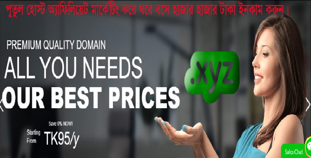 পুতুল হোস্ট অ্যাফিলিয়েট মার্কেটিং করে টাকা ইনকাম