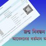 জন্ম নিবন্ধন আবেদনের বর্তমান অবস্থা(Birth Certificate Application Status)