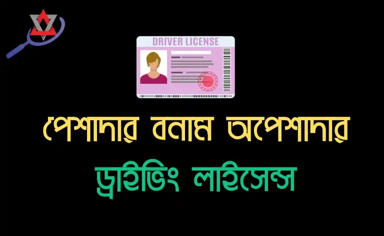 পেশাদার বনাম অপেশাদার ড্রাইভিং লাইসেন্স