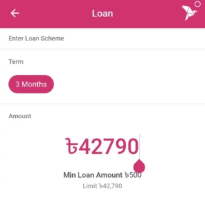 bikash-loan