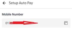 Auto Pay