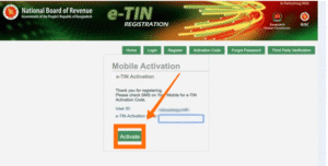 tin-certificate