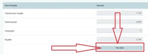 bkash-income-tax-return-payment-pay-now-guide