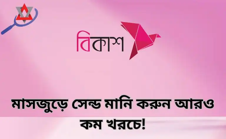 মাসজুড়ে সেন্ড মানি করুন আরও কম খরচে!