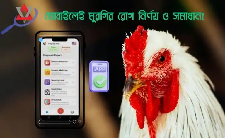 মোবাইলেই মুরগির রোগ নির্ণয় ও সমাধান!