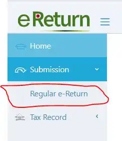 Zero Income Tax Return