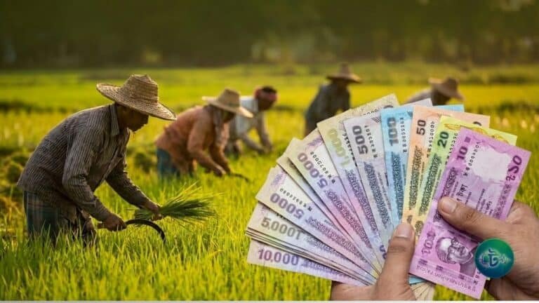 ১০ হাজার টাকা পর্যন্ত কৃষি ঋণ মওকুফ, উপকৃত হবেন ১২ লাখ কৃষক