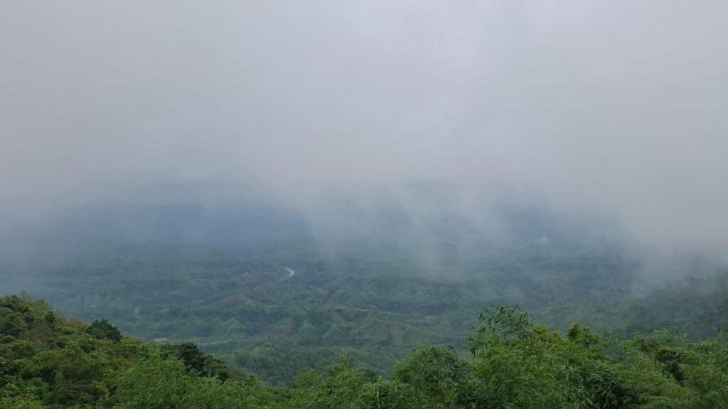 সবুজে আচ্ছাদিত পাহাড় নীলগিরির সৌন্দর্য বাড়িয়েছে।