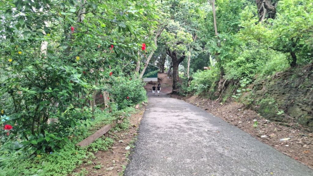 দিগন্তজুড়ে বিস্তৃত পাহাড়ের মনোরম দৃশ্য।