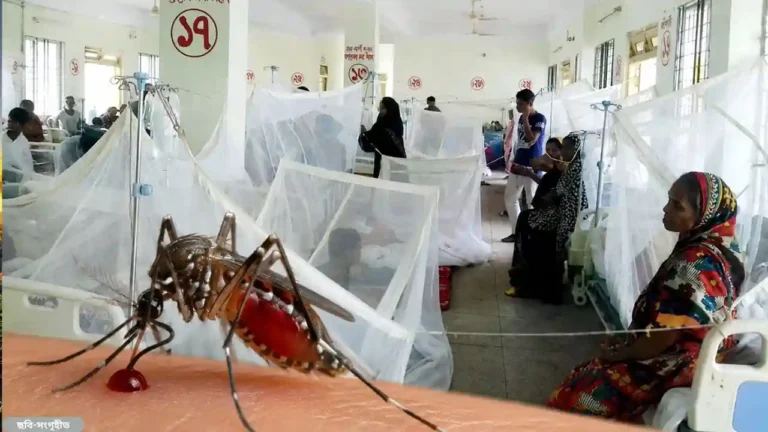 ডেঙ্গু আক্রান্তের সংখ্যা বাড়ছে সর্বশেষ ২৪ ঘণ্টায় ভর্তি ২৭১ জন