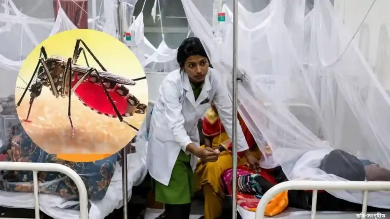 ডেঙ্গুতে প্রাণহানি বেড়ে ৪৩ নতুন আক্রান্ত ৪৫৮