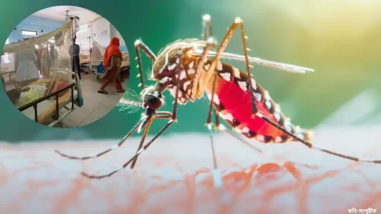 ডেঙ্গুর প্রকোপ অব্যাহত, হাসপাতালে চিকিৎসাধীন ১ হাজার ৮১ রোগী