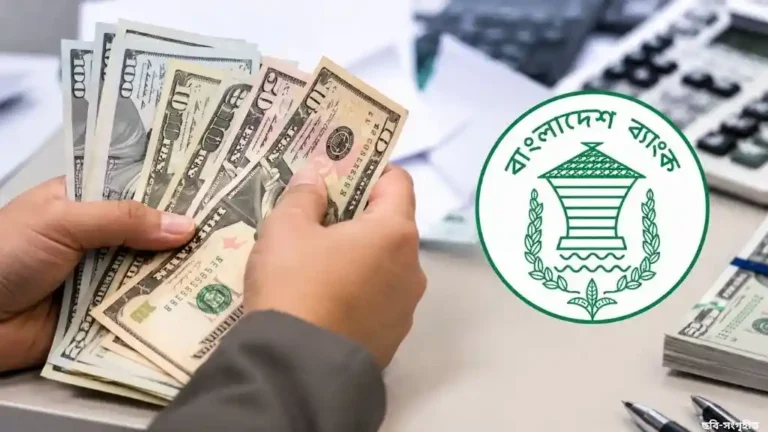ফ্রিল্যান্সারদের বৈদেশিক আয় গ্রহণে নতুন নীতিমালা, মিলবে ডুয়াল-কারেন্সি কার্ডও