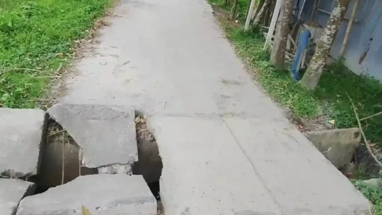 বগুড়ার শেরপুরের সুঘাট ইউনিয়নে ভাঙ্গা কালভার্ট,চলাচলে চরম ভোগান্তিতে এলাকাবাসী