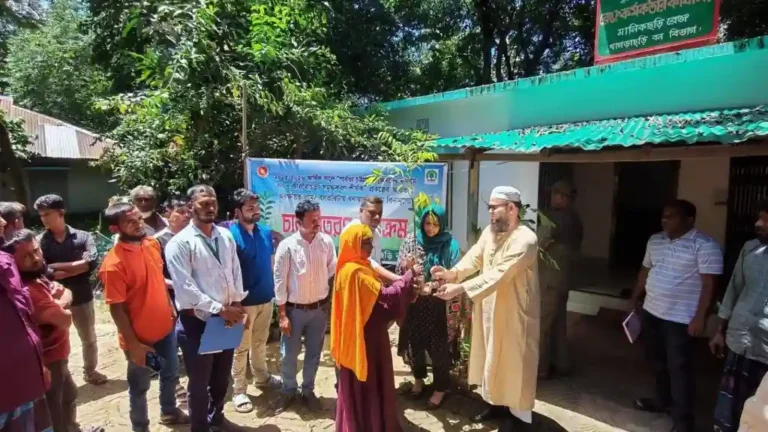 ২৫ কোটি বৃক্ষরোপণ কর্মসূচি: মানিকছড়িতে ২৫০ পরিবারের মাঝে ১১ হাজার ৩০০ চারা বিতরণ