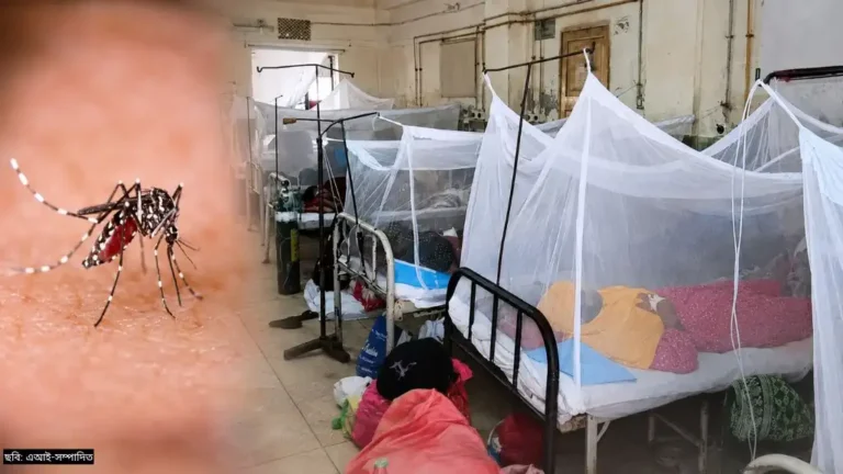 ডেঙ্গুতে হাসপাতালে ভর্তি বেড়ে ২০ হাজার ছাড়াল, নতুন মৃত্যু নেই