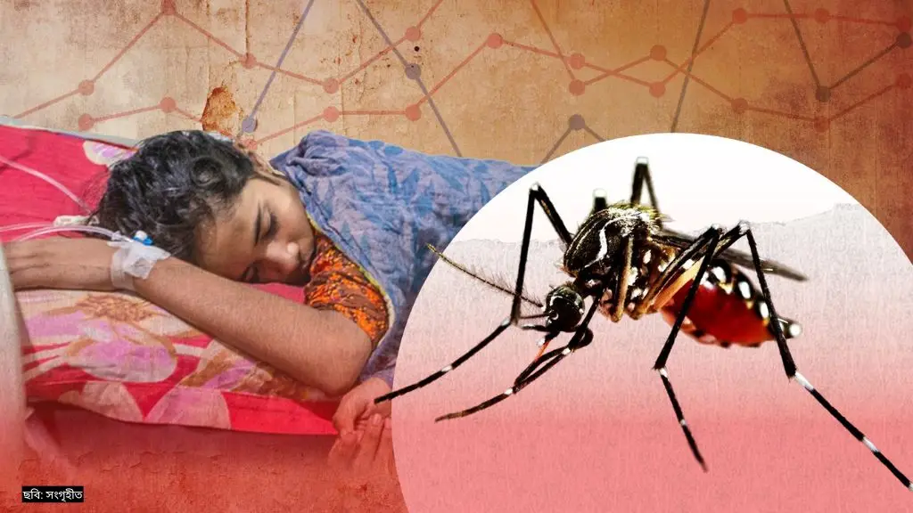 ডেঙ্গুতে নতুন ২০০ রোগী হাসপাতালে, চিকিৎসাধীন ১ হাজার ৬১৫