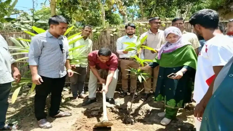 বেলছড়ির উত্তরপাড়া বেসরকারি প্রাথমিক বিদ্যালয় পরিদর্শন, বৃক্ষরোপণ করলেন ইউএনও