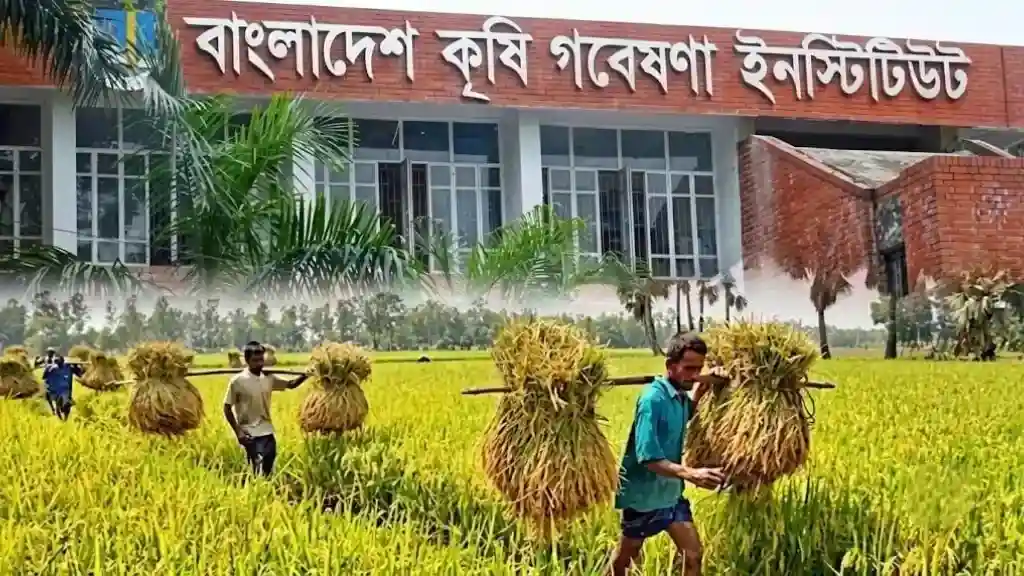 কৃষি গবেষণা ইনস্টিটিউটে বার্ষিক প্রতিবেদন জমার নির্দেশ