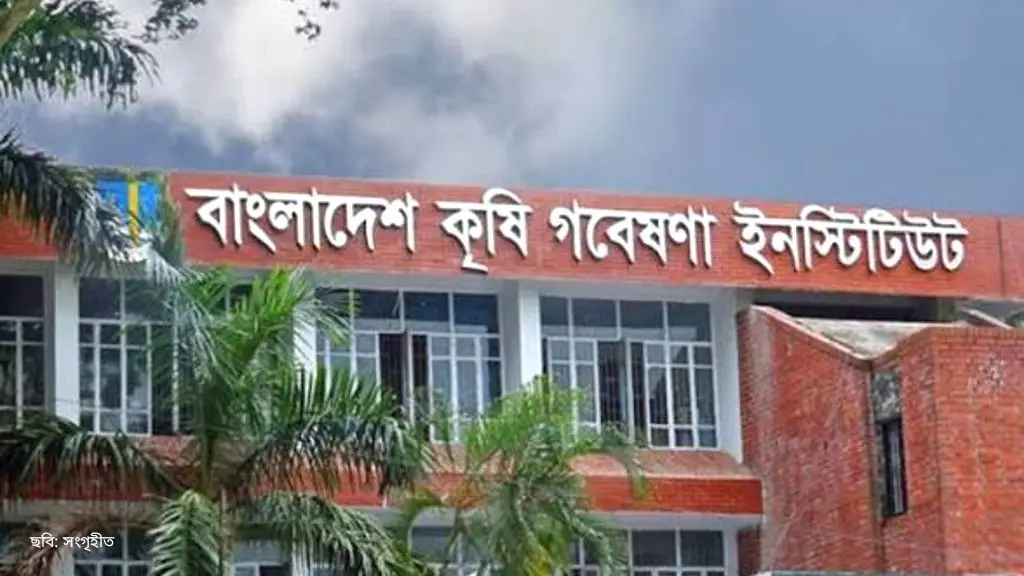 বেতন থেকে জ্বালানি ব্যয়, সব খাতের তথ্য চেয়েছে বিএআরআই
