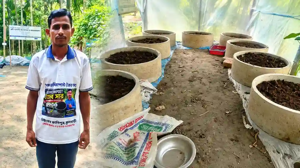 ভার্মি কম্পোস্টে সফলতার গল্প সেবেন চন্দ্রের