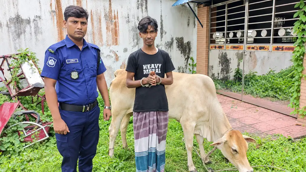 নওগাঁয় গরু চুরি করে পালানোর সময় গ্রাম পুলিশের সহায়তায় যুবক গ্রেপ্তার