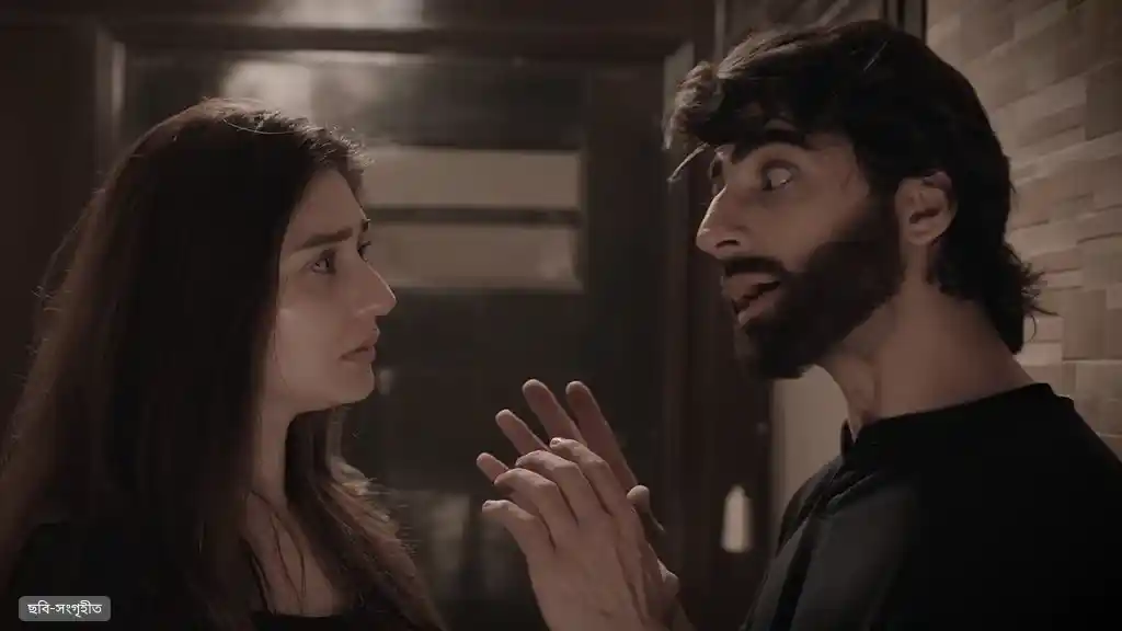 ‘দার-ই-নাজাত’ নিয়ে সমালোচনার জবাব দিলেন দুরেফিশান