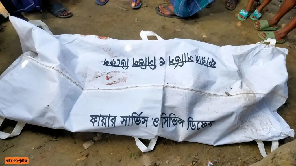 খোকসায় ড্রাম ট্রাকের চাপায় ঘটনাস্থলেই প্রাণ গেল করিমন চালকের