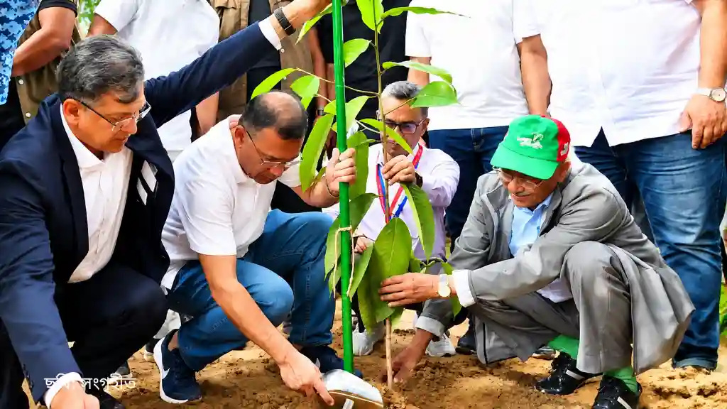 ৫ বছরে ২৫ কোটি বৃক্ষরোপণ কর্মসূচি, গাছ লাগিয়ে দিতে হবে তথ্য