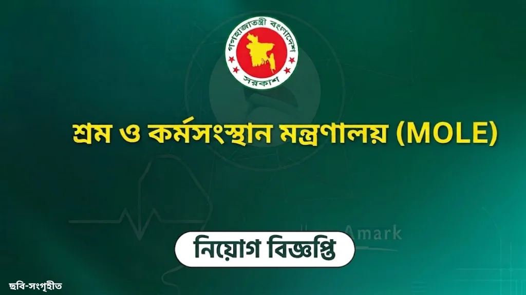 শ্রম মন্ত্রণালয়ে নিয়োগ, আসছে যে সুযোগ