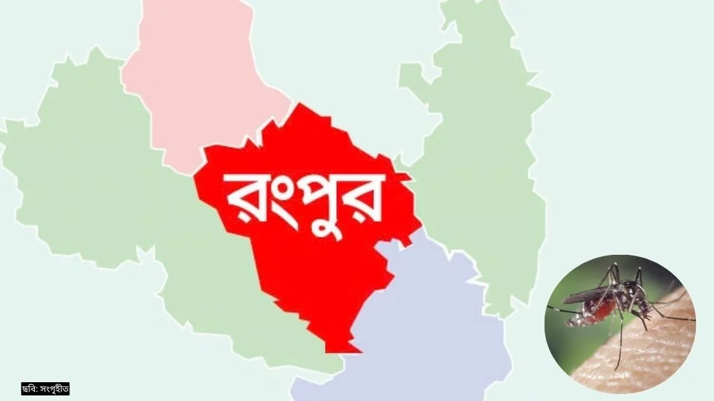 ডেঙ্গুতে রংপুরে আরও এক নারীর মৃত্যু, ২৪ ঘণ্টায় ভর্তি ৭৫