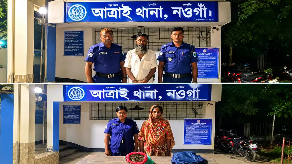 আত্রাইয়ে পৃথক অভিযানে গাঁজা ও ট্যাপেন্টাডলসহ গ্রেপ্তার ২