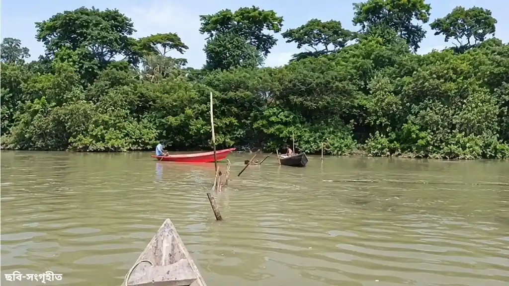 কুয়াকাটার খালে আটকে ছিল পানি, অভিযানে অপসারণ করা হলো অবৈধ জাল
